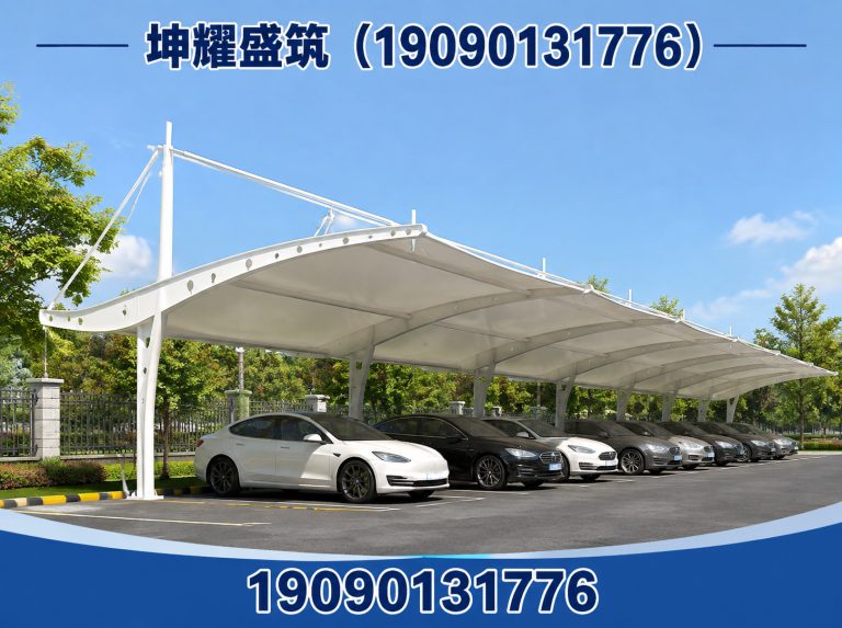 博湖县膜结构施工展示图